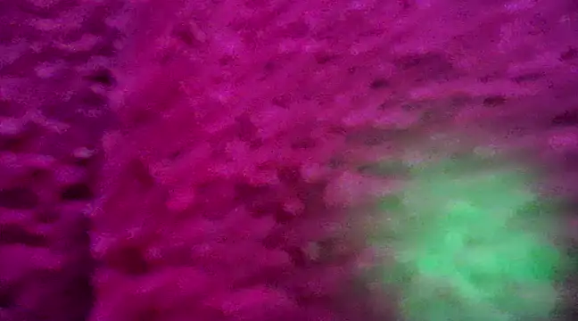 Snapshot of CZboobs chatting on 02-26-25, 08:54 CZboobs online show from 02-26-25, 08:54