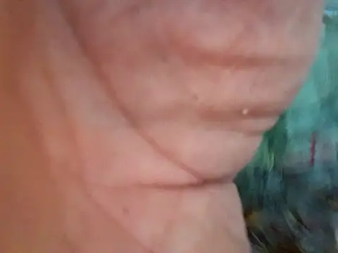 Payaso53 online show from 04-11-26, 02:38