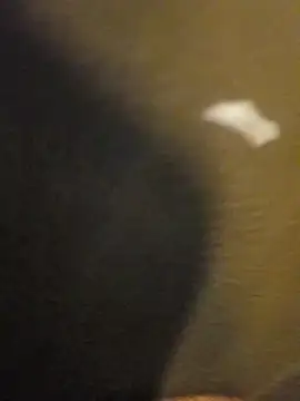 Sripandara1 online show from 03-22-25, 12:04