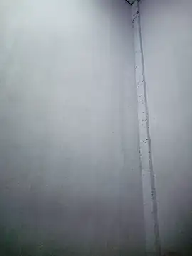 TropicalFlower online show from 12-16-25, 10:31