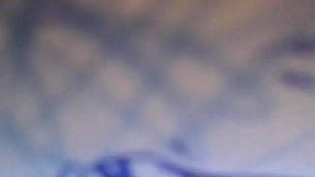 Snapshot of AnnyPat chatting on 11-16-25, 12:55 AnnyPat online show from 11-16-25, 12:55