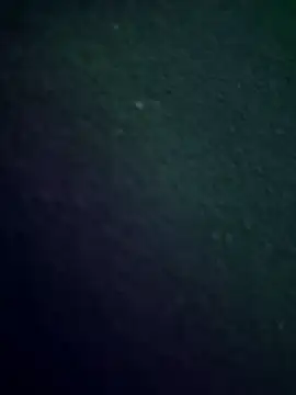 Snapshot of K100x chatting on 11-30-25, 02:48 K100x online show from 11-30-25, 02:48