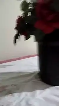 catdool online show from 01-23-25, 03:26