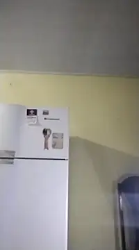 catdool online show from 02-14-25, 10:07