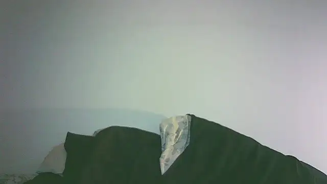 Bailey39 online show from 07-31-26, 10:31