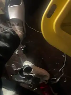 Exclusivenutxxx online show from 01-23-25, 06:56