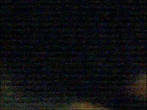 Snapshot of Mghty-cockl88 chatting on 12-27-24, 06:31 Mghty-cockl88 online show from 12-27-24, 06:31