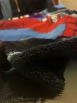 Red Foxxx25 online show from 11-27-25, 01:51