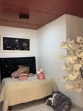 Snapshot of Ambar_pe_ chatting on 11-04-25, 02:32 Ambar pe online show from 11-04-25, 02:32