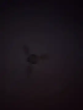 1Aleks13 online show from 11-25-25, 10:54