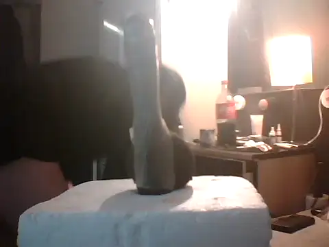 Snapshot of slutviki chatting on 01-10-26, 12:12 slutviki online show from 01-10-26, 12:12