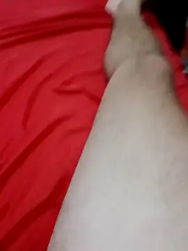 Snapshot of AquilesG4 chatting on 04-02-26, 03:37 AquilesG4 online show from 04-02-26, 03:37