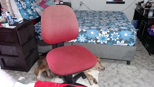 Snapshot of Barbiegomez chatting on 11-26-25, 09:27 Barbiegomez online show from 11-26-25, 09:27