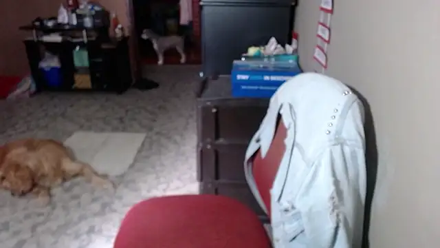 Snapshot of Barbiegomez chatting on 03-17-26, 06:11 Barbiegomez online show from 03-17-26, 06:11