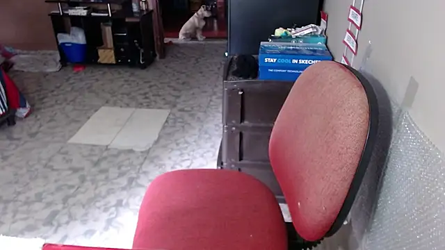 Snapshot of Barbiegomez chatting on 03-19-26, 04:11 Barbiegomez online show from 03-19-26, 04:11