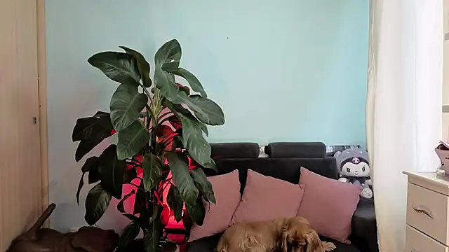 Snapshot of melisa_es chatting on 02-05-26, 02:54 melisa es online show from 02-05-26, 02:54