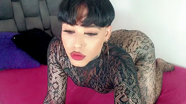little star porn online show from 06-14-26, 02:24