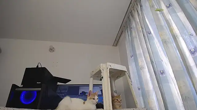 Snapshot of eolicasex chatting on 03-07-25, 04:00 eolicasex online show from 03-07-25, 04:00