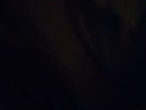 420pussylickr online show from 07-30-26, 03:38