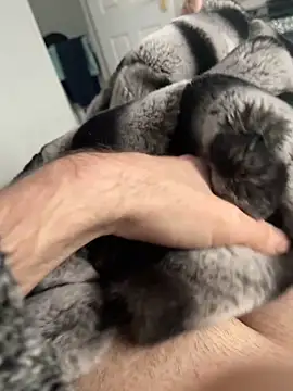 Furdale online show from 12-02-24, 12:40