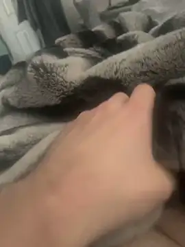 Furdale online show from 12-04-24, 11:52