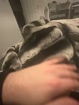 Furdale online show from 12-07-24, 09:33