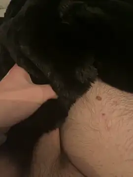 Furdale online show from 12-10-24, 05:44