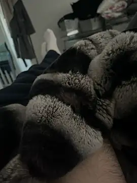 Furdale online show from 12-18-24, 03:00