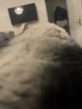 Furdale online show from 01-13-25, 04:08