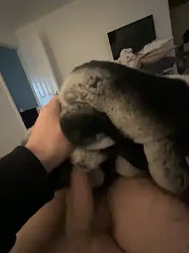 Furdale online show from 01-24-25, 02:41