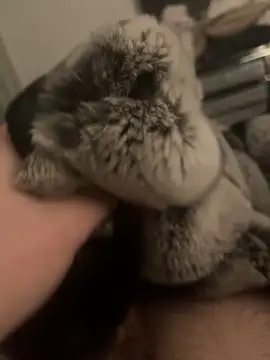 Furdale online show from 01-24-25, 06:04