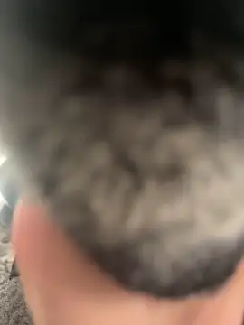 Furdale online show from 02-22-25, 04:40