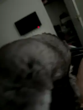 Furdale online show from 10-02-25, 03:30