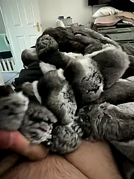 Furdale online show from 11-15-25, 01:29