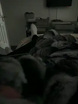 Furdale online show from 02-11-26, 03:39