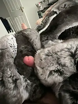 Furdale online show from 02-22-26, 03:10