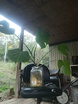 xomikaylaxo online show from 10-30-25, 10:32