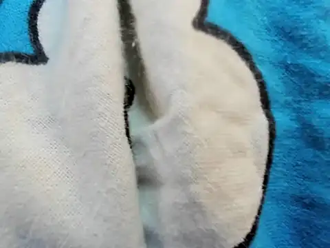 bigbooty29 online show from 09-29-25, 04:50