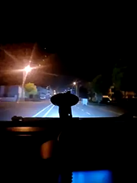 Snapshot of Darkboss31 chatting on 10-30-25, 11:38 Darkboss31 online show from 10-30-25, 11:38