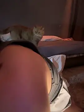 Snapshot of Bastet chatting on 01-14-25, 09:51 Bastet online show from 01-14-25, 09:51