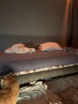 Snapshot of Bastet chatting on 01-16-25, 07:31 Bastet online show from 01-16-25, 07:31