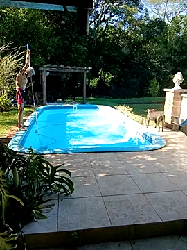 Snapshot of dutra498 chatting on 02-03-26, 11:59 dutra498 online show from 02-03-26, 11:59