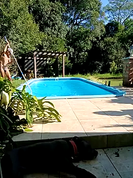 Snapshot of dutra498 chatting on 03-02-26, 07:32 dutra498 online show from 03-02-26, 07:32