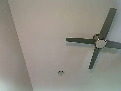 Londonfrotadejr online show from 03-07-25, 12:45