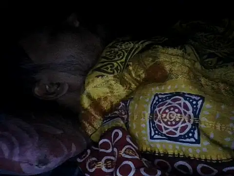 Snapshot of chittagong77 chatting on 12-13-25, 09:53 chittagong77 online show from 12-13-25, 09:53