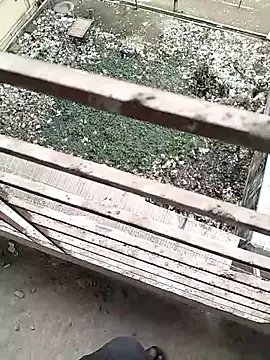 Snapshot of chittagong77 chatting on 02-22-26, 09:52 chittagong77 online show from 02-22-26, 09:52