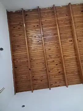 ZaraHoney online show from 01-20-25, 10:59