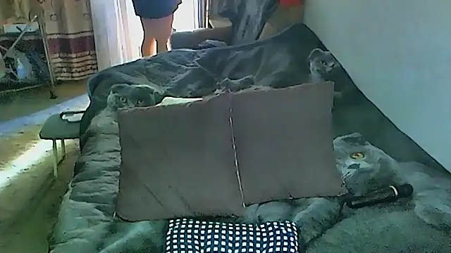 sex2 online show from 09-27-25, 01:54