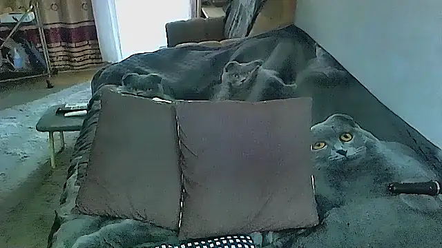 sex2 online show from 10-16-25, 02:23