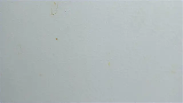 Snapshot of lisa2018 chatting on 02-21-25, 11:10 lisa2018 online show from 02-21-25, 11:10